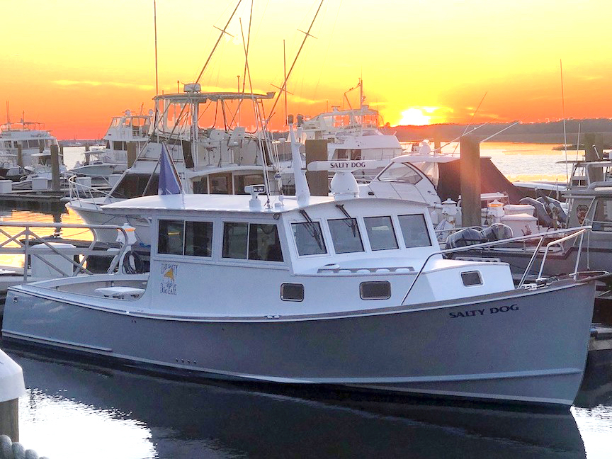 salty dog boat cruises